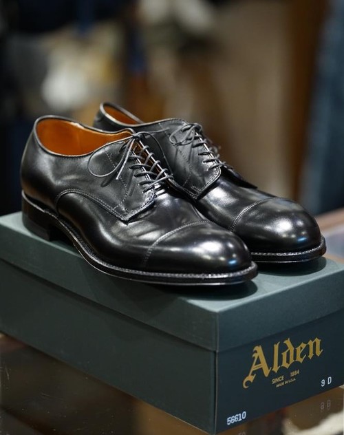 Alden 558 6D 56610